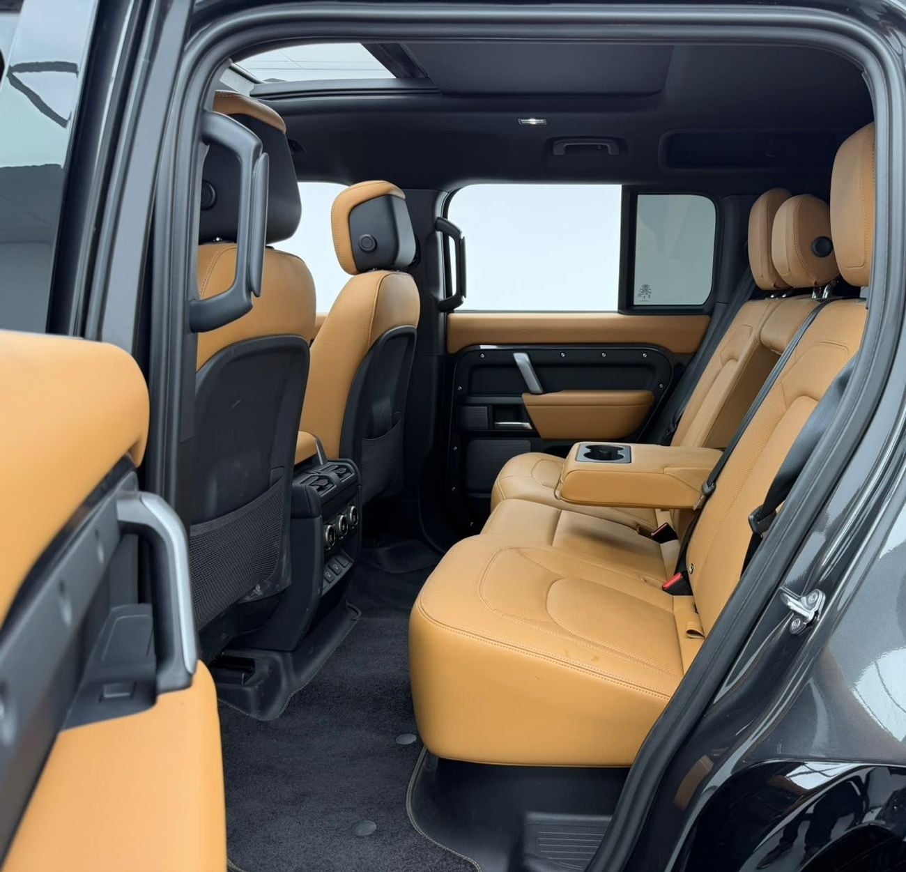 Land Rover Defender 110 CARPATHIAN EDITION P525
