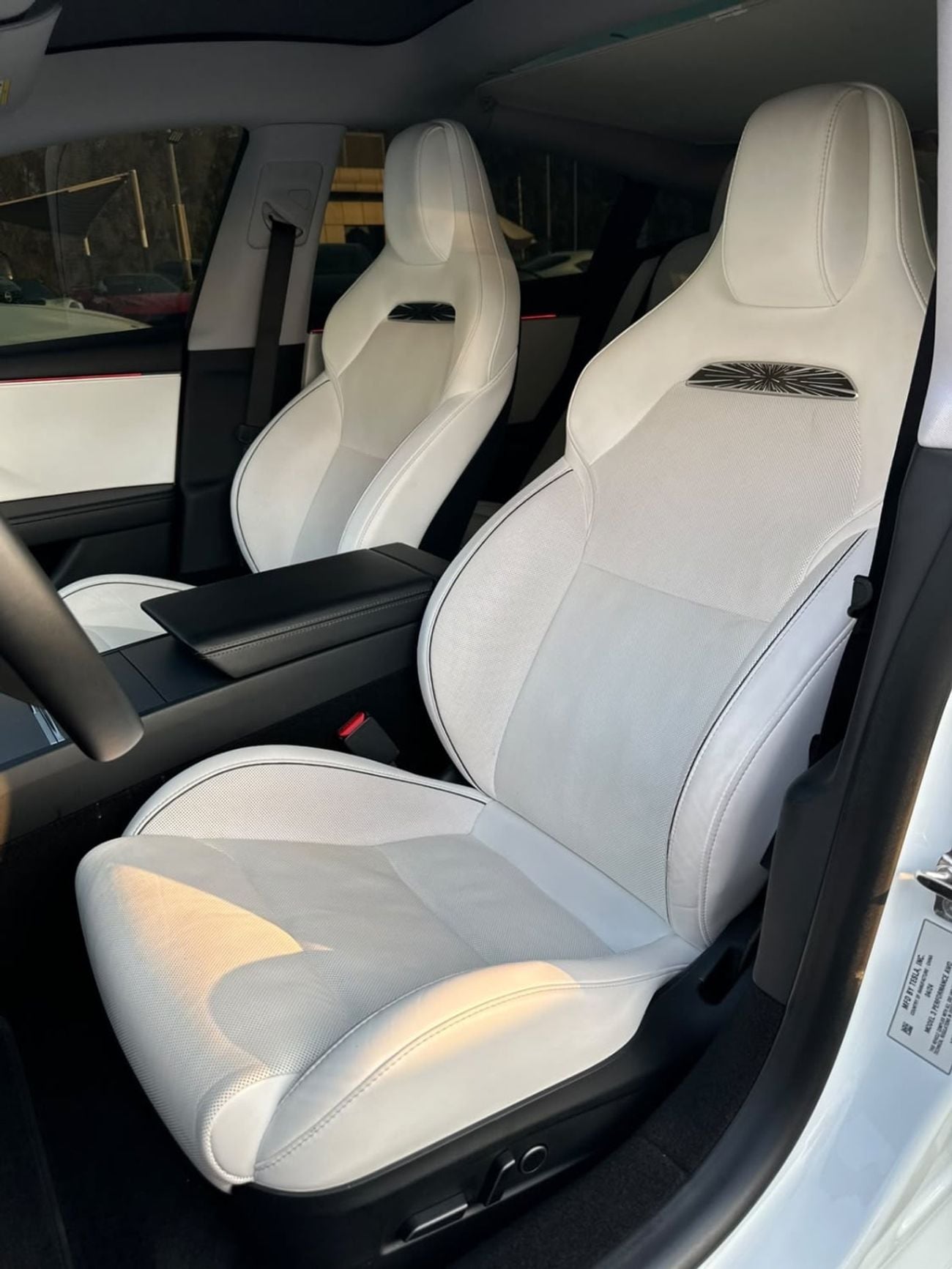 Tesla Model 3 PERFORMANCE