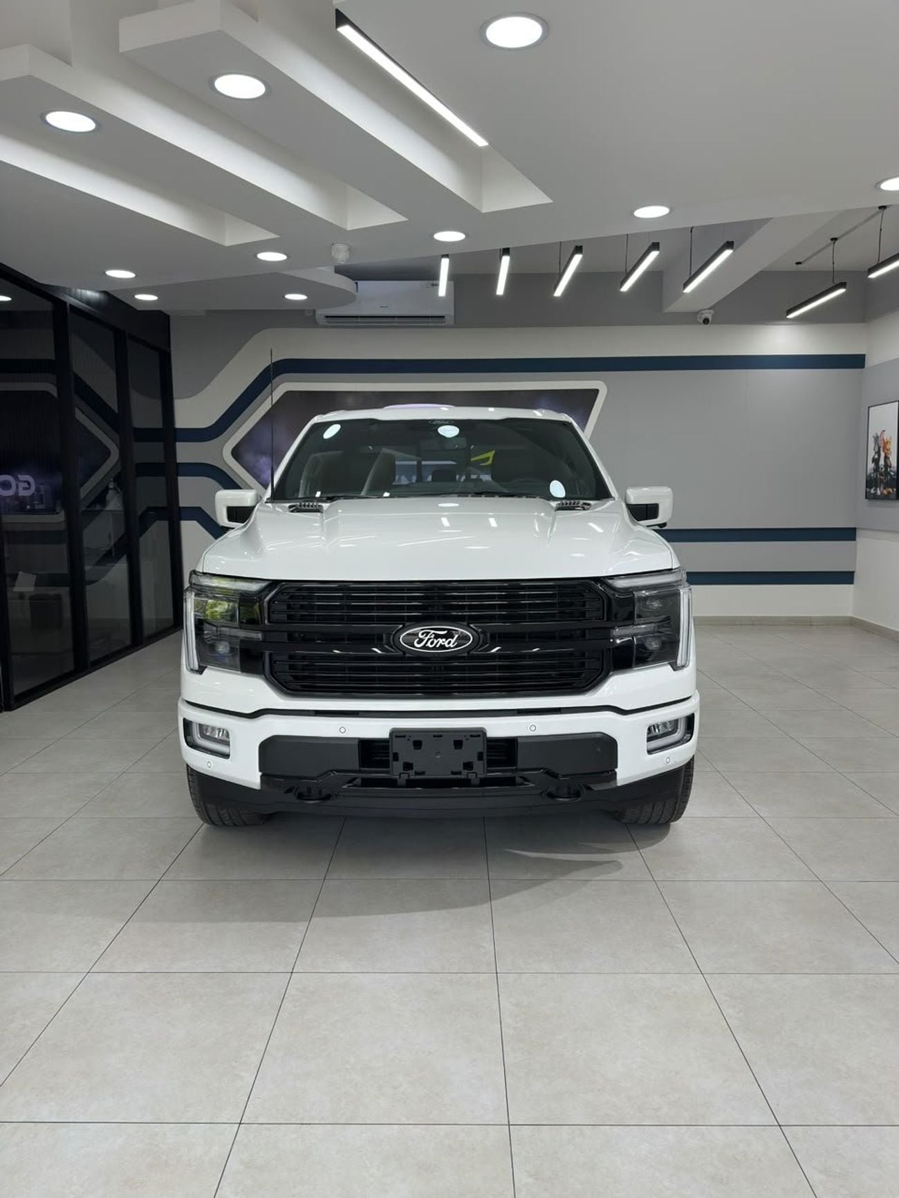 Ford F-150 PLATINUM CREW CAB