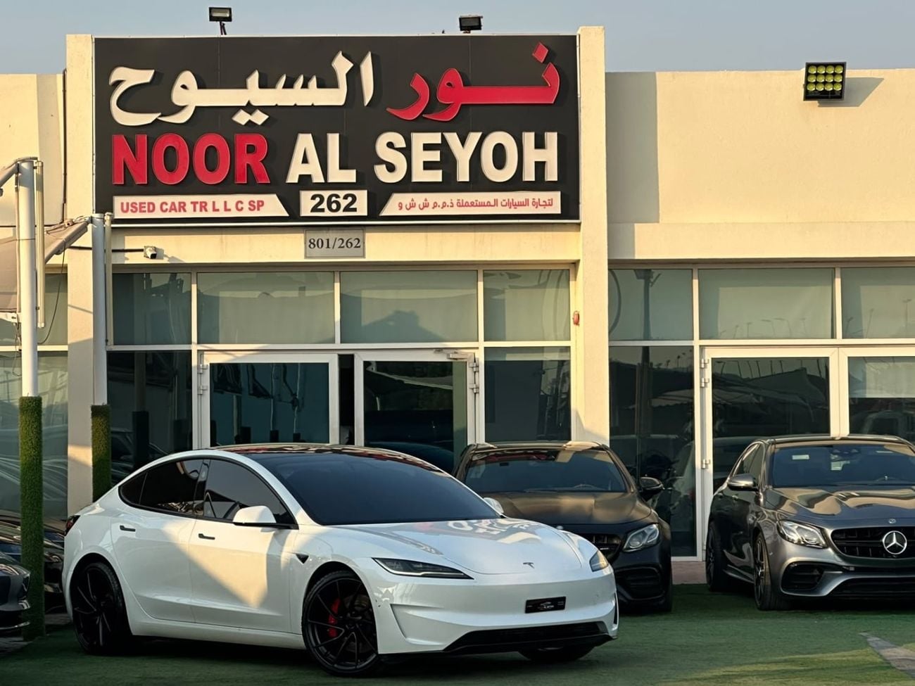 Tesla Model 3 PERFORMANCE