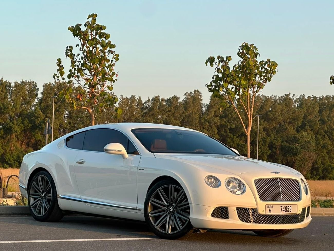 Bentley Continental GT SPEED BENTLY CONTINENAL V12 // MODEL:2014 // ORGINAL PAINT // ACCIDENT FREE // FSH // PERFE