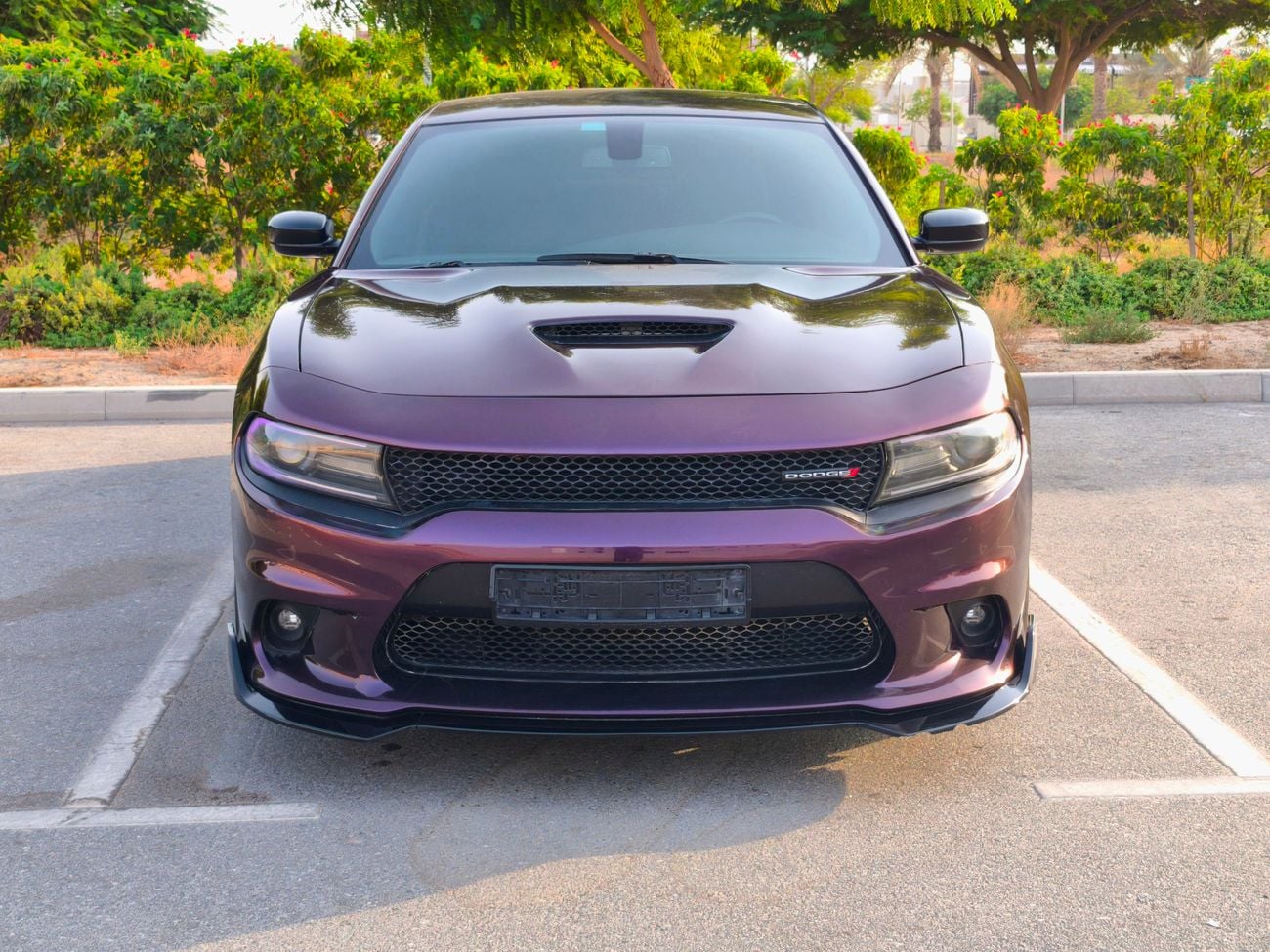 Dodge Charger GT