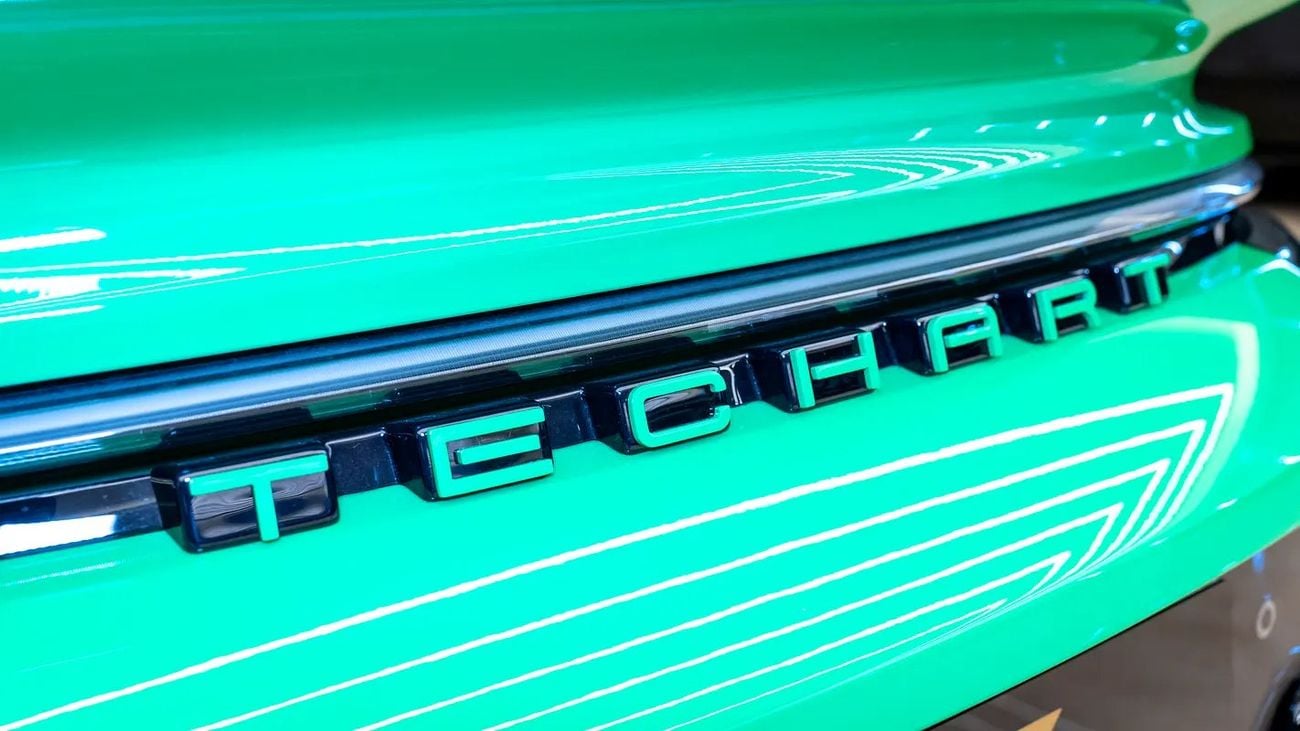 Porsche 911 TURBO S 992 Turbo S GT Street R / Techart Edition No : 51 - 87 / European