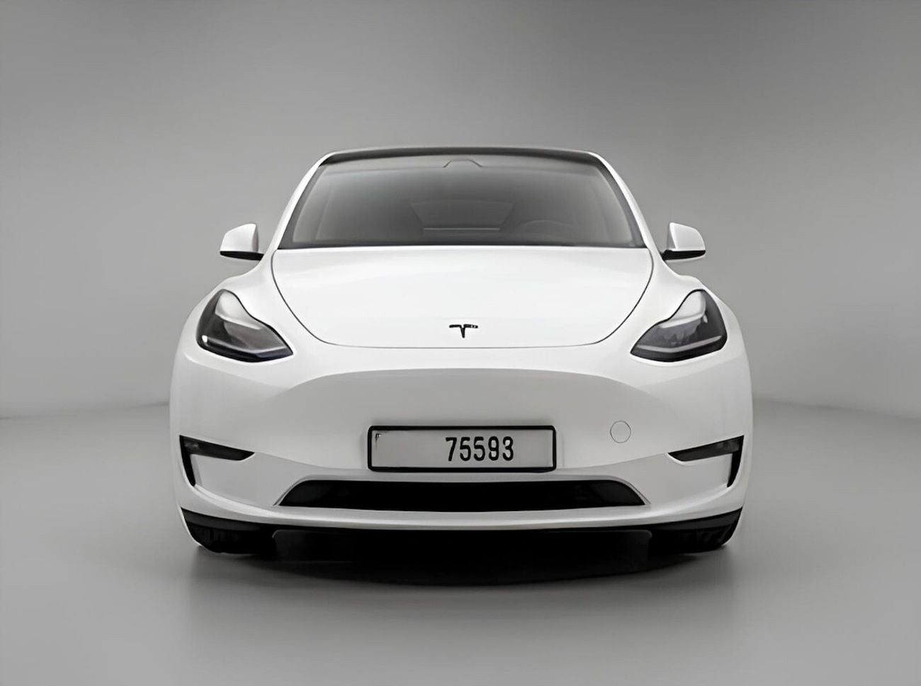 Tesla Model Y LONG RANGE
