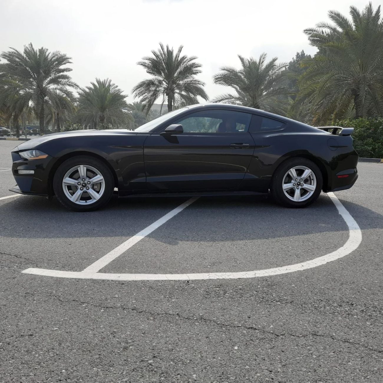 Ford Mustang EcoBoost Premium