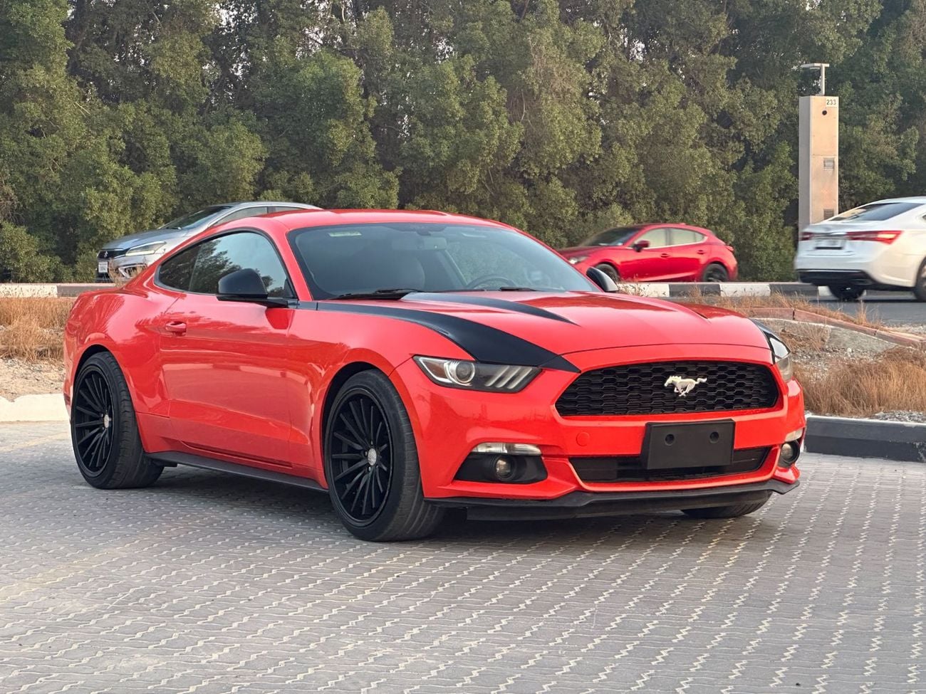 Ford Mustang STANDARD