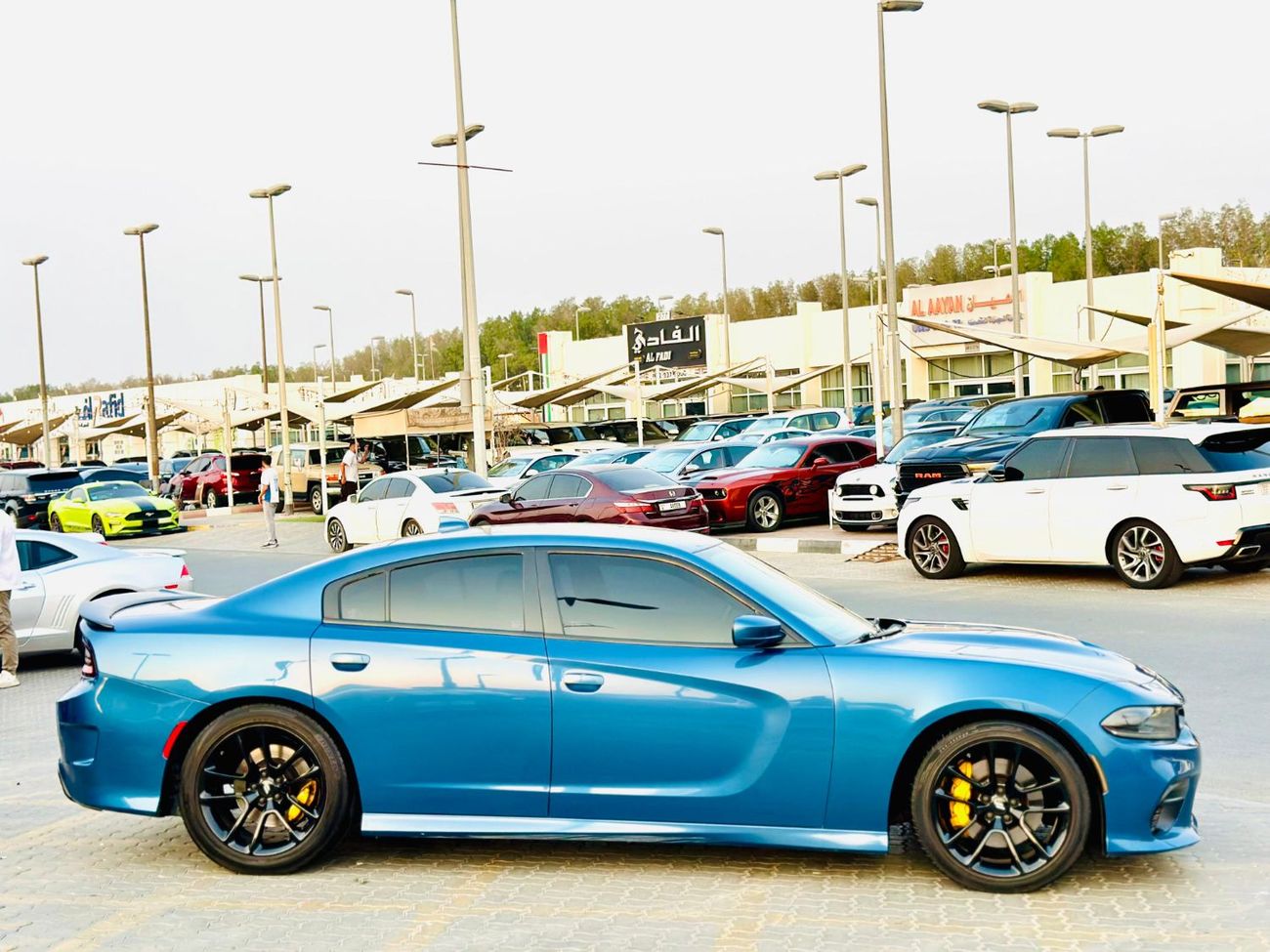 Dodge Charger SRT ScatPack | Monthly 1650/- | 0% DP | Blindspot | Drive Modes | # 61169