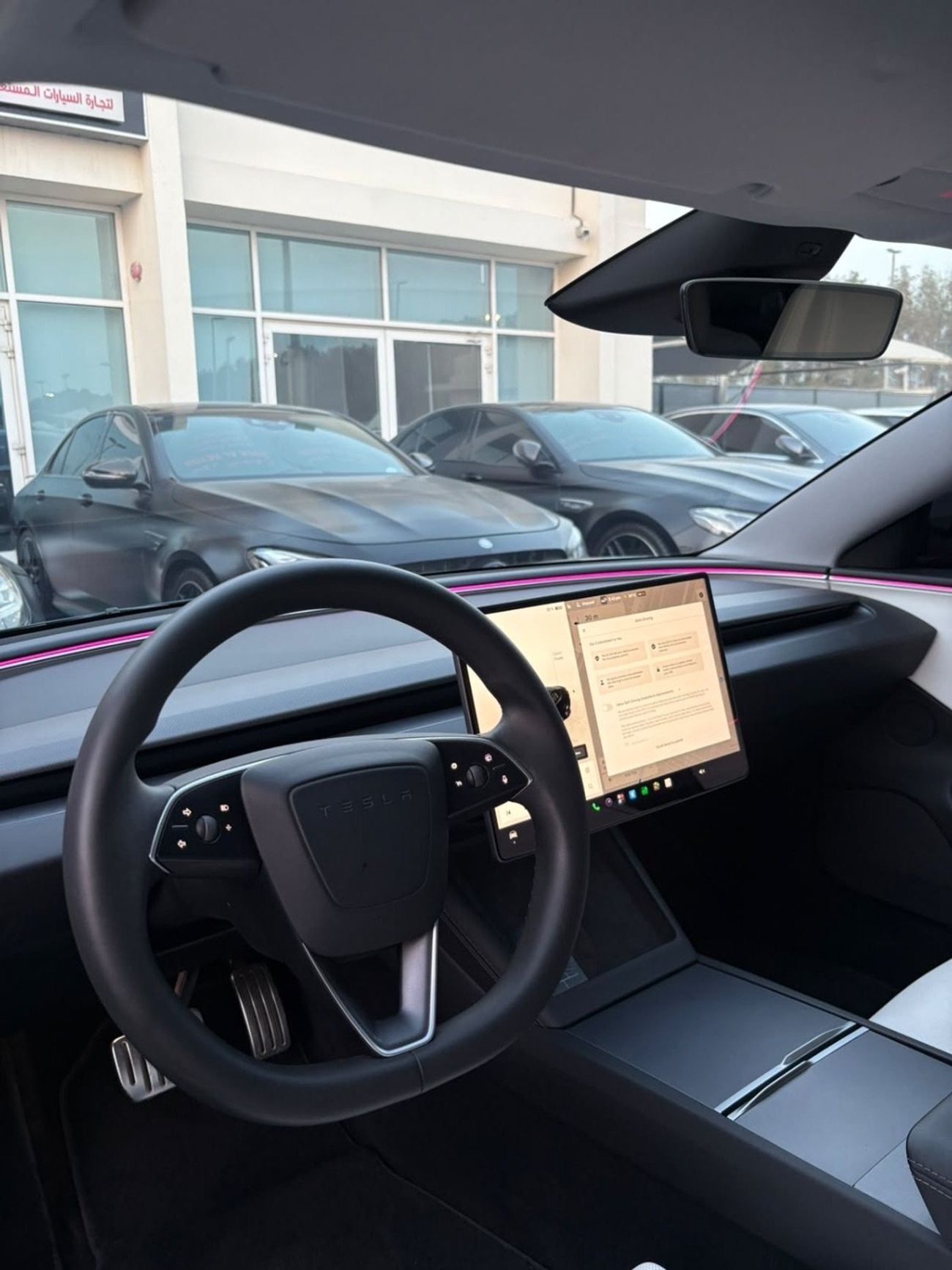Tesla Model 3 PERFORMANCE