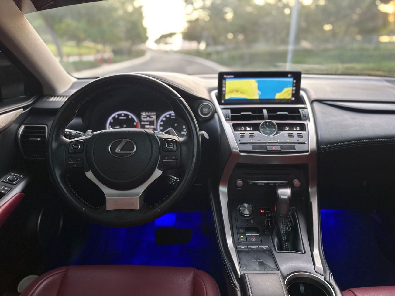 Lexus NX300 PLATINUM