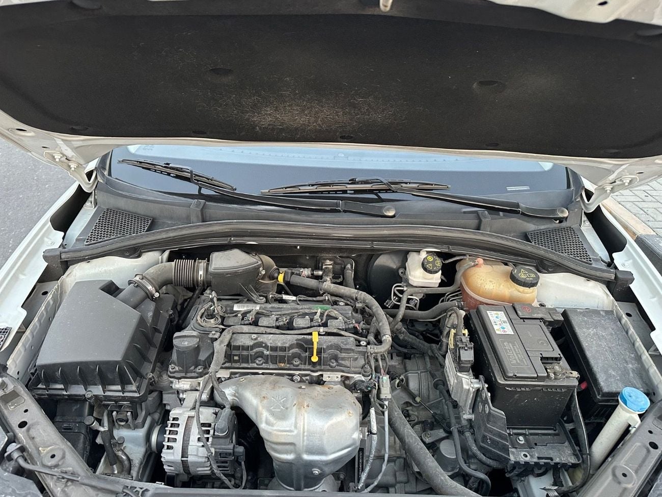 MG 5 STANDARD