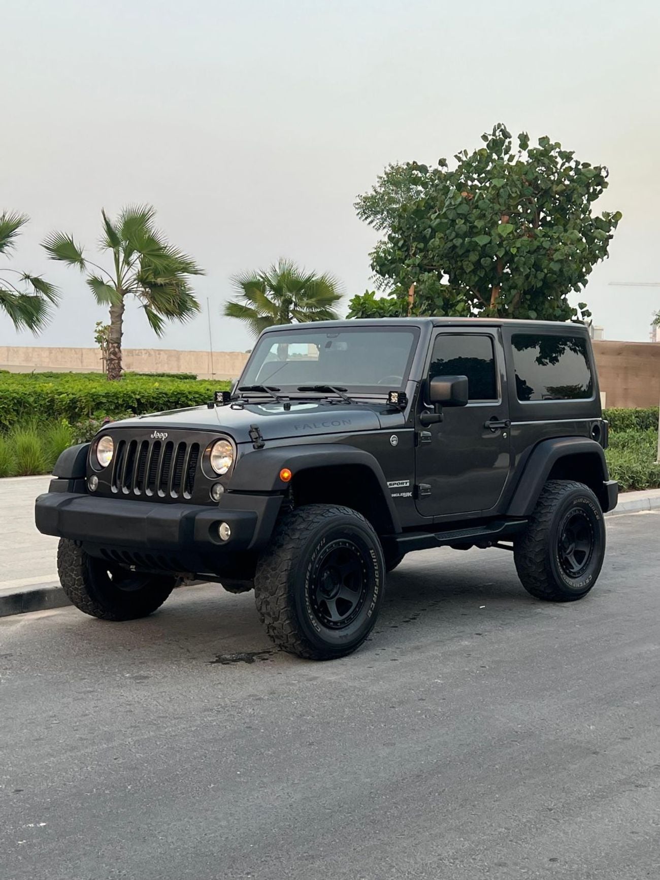 Jeep Wrangler FALCON EDITION EXECUTIVE 3.6L A/T