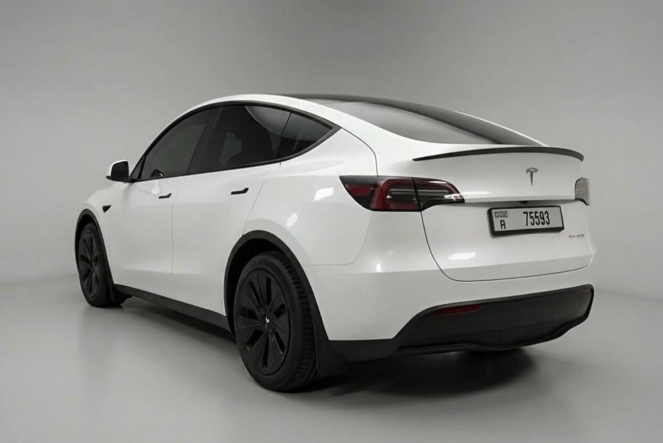 Tesla Model Y LONG RANGE