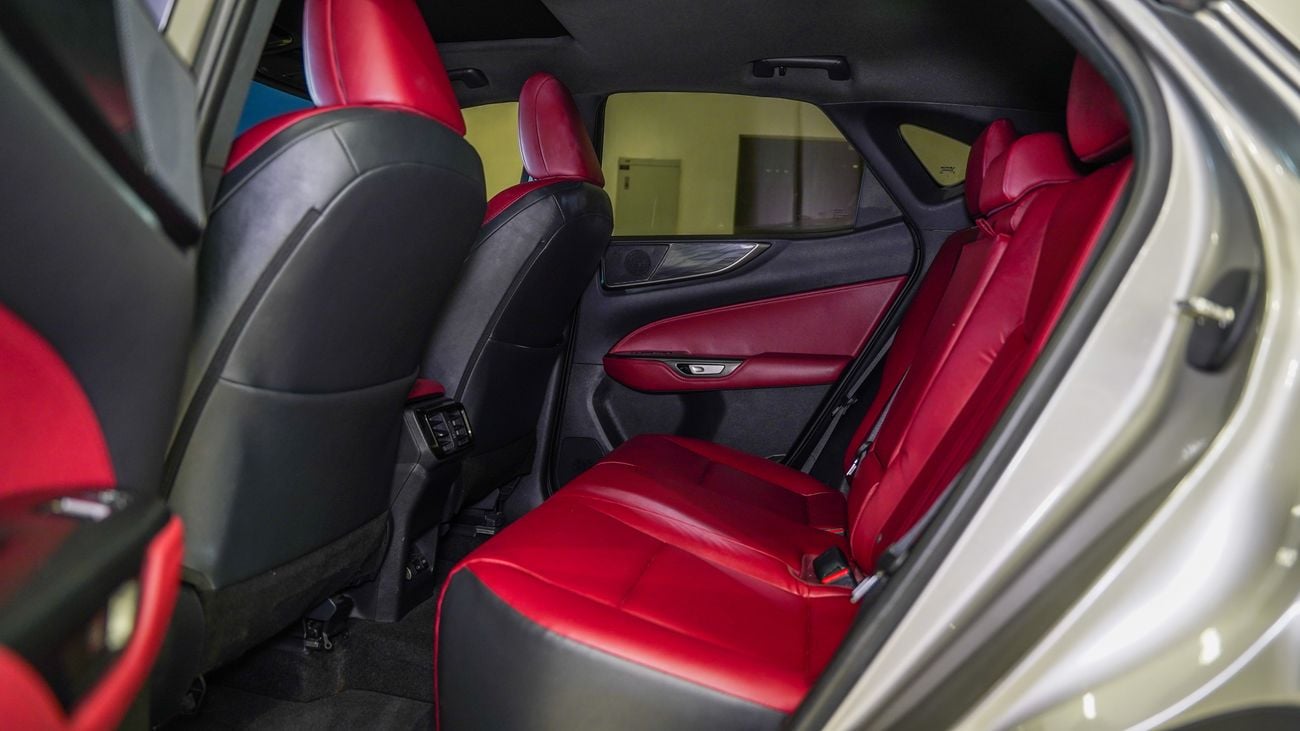 Lexus NX250