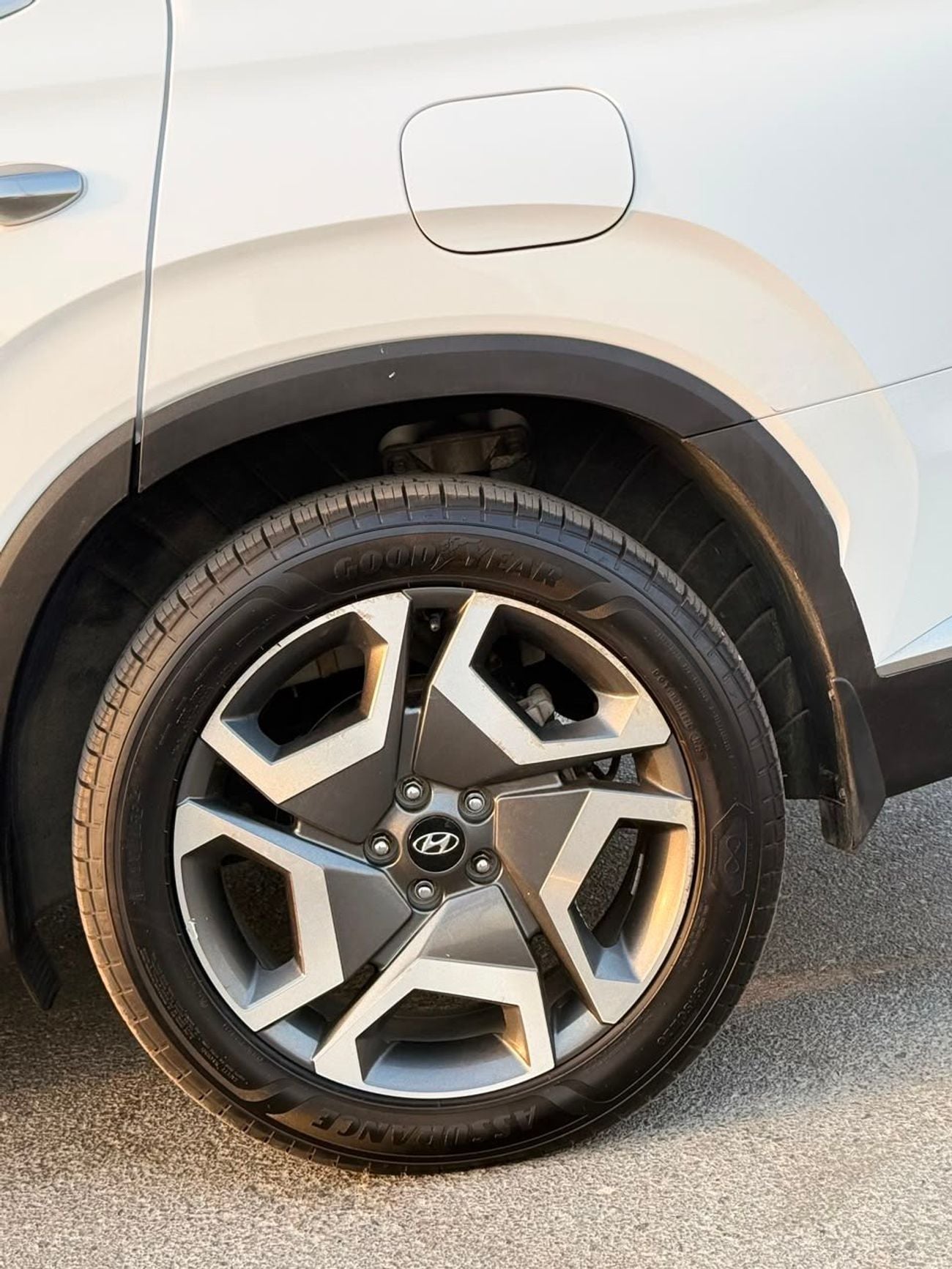 Hyundai Palisade PREMIUM