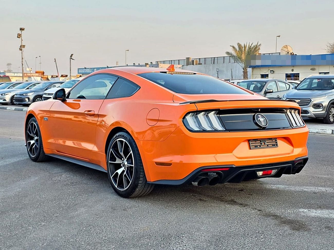 فورد موستانج ستاندارد (PM73575)