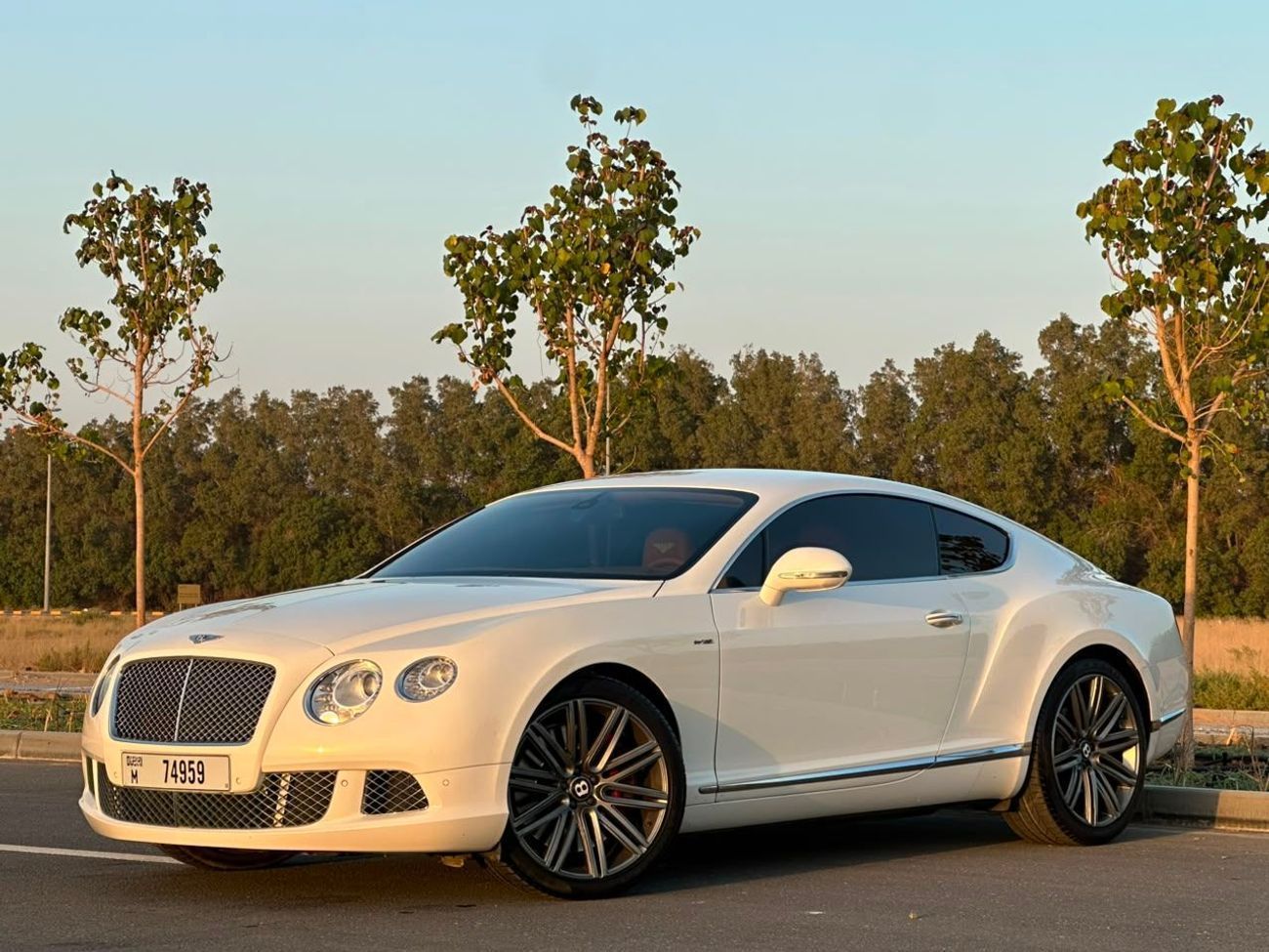 Bentley Continental GT SPEED BENTLY CONTINENAL V12 // MODEL:2014 // ORGINAL PAINT // ACCIDENT FREE // FSH // PERFE