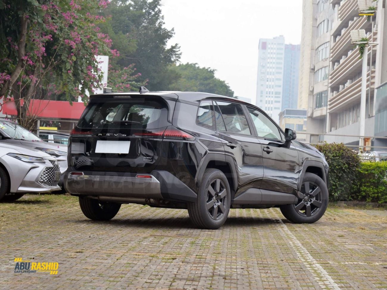 Toyota RAV4 LUXURY HEV