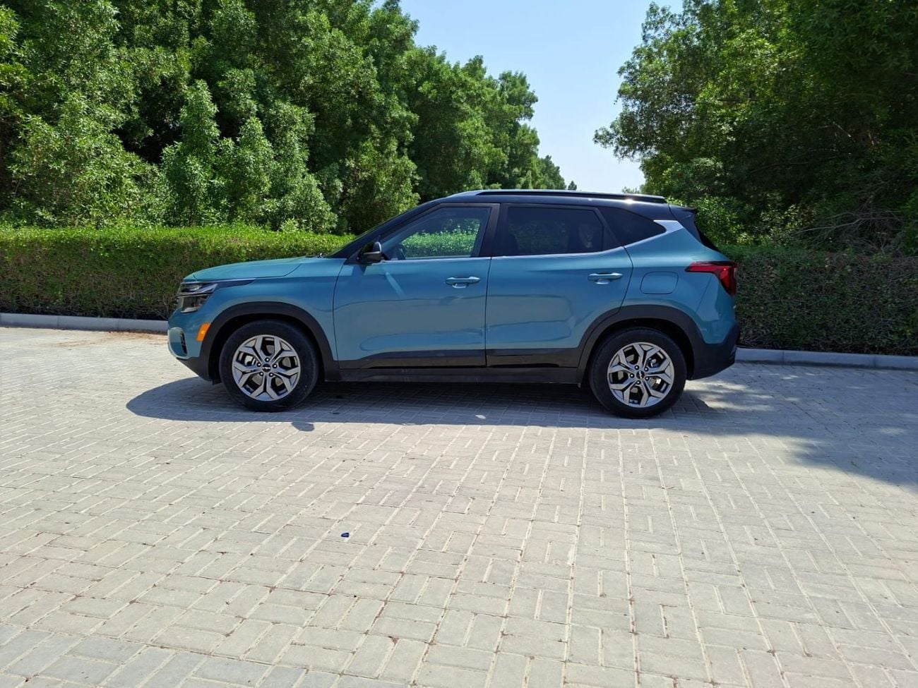Kia Seltos EX
