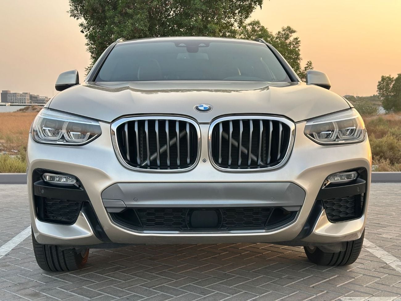 BMW X4 XDRIVE 30i EXCLUSIVE