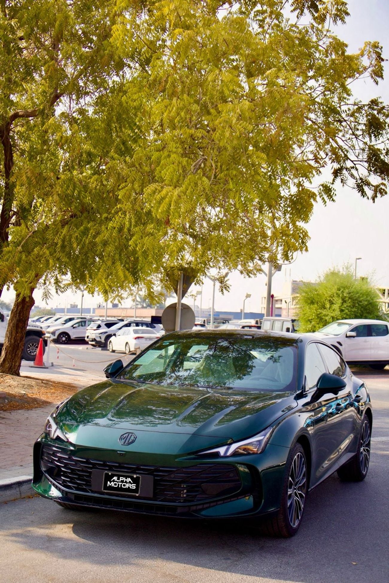 MG 7