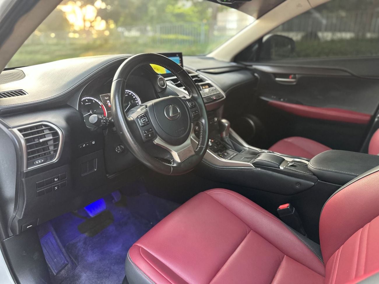 Lexus NX300 PLATINUM