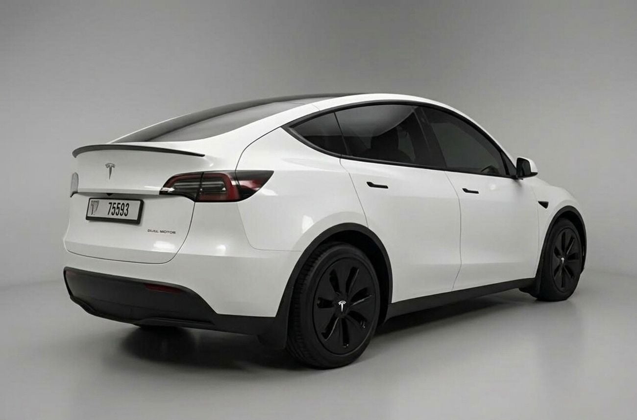 Tesla Model Y LONG RANGE
