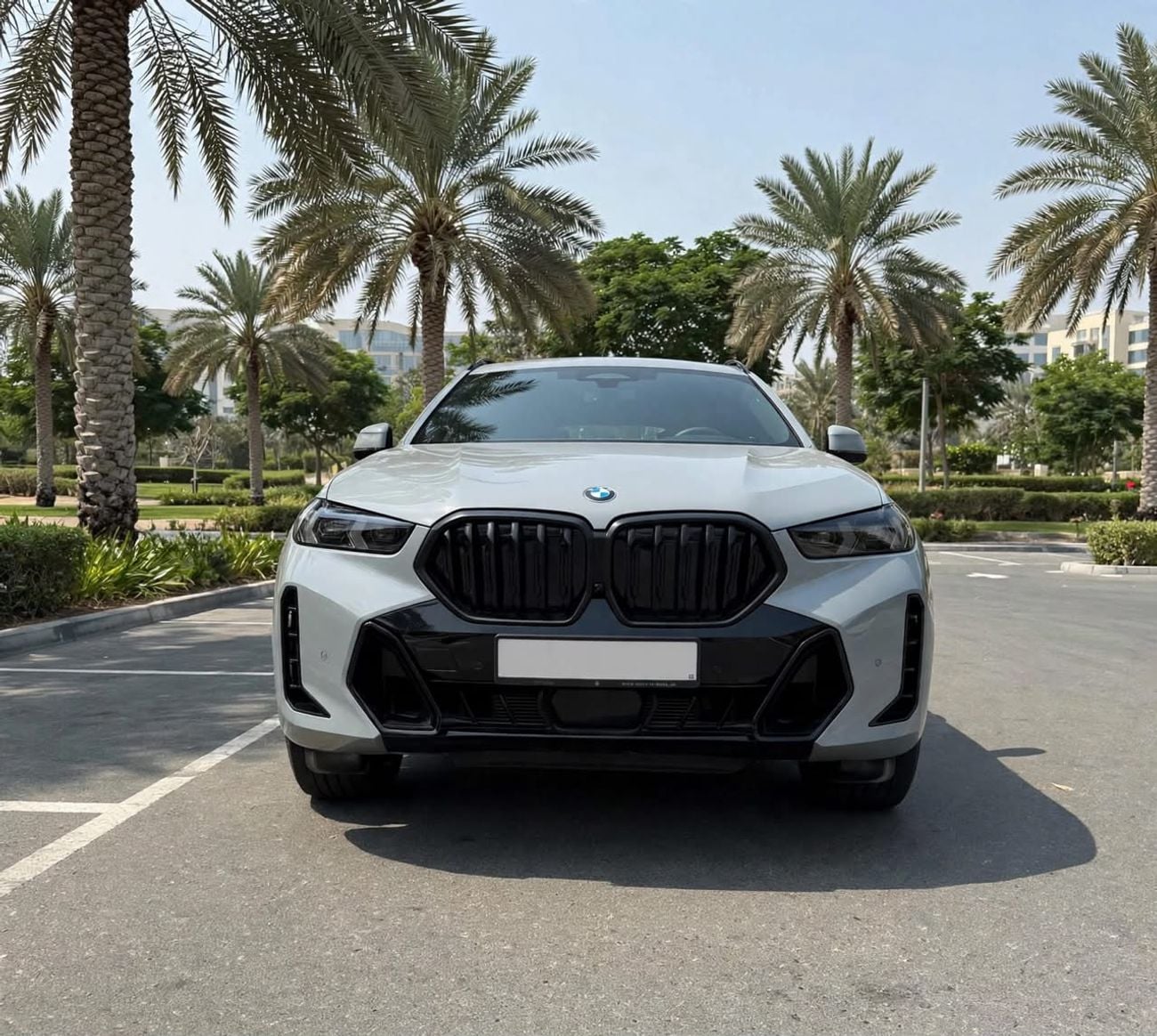 BMW X6 40i M SPORT