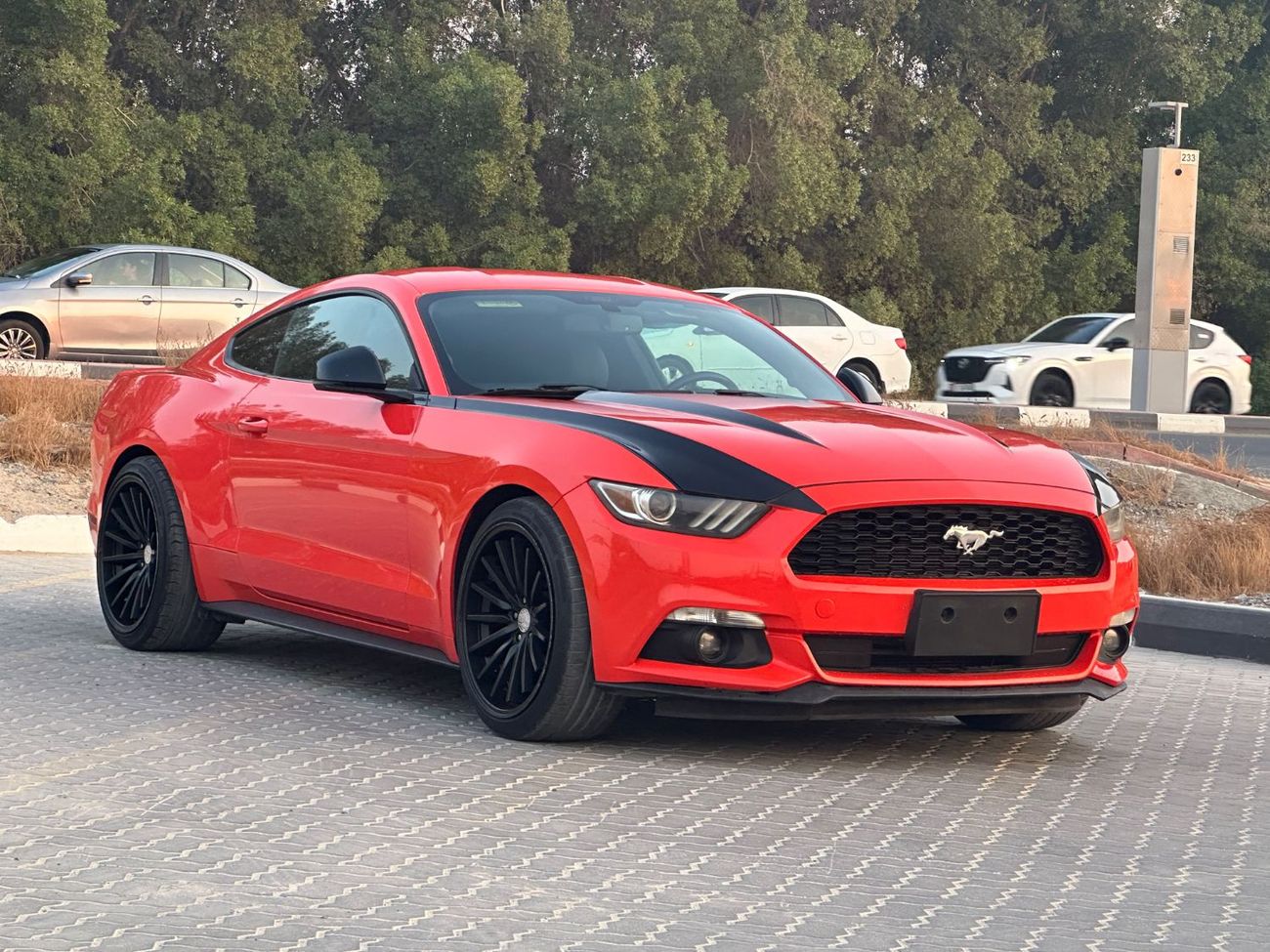 Ford Mustang STANDARD