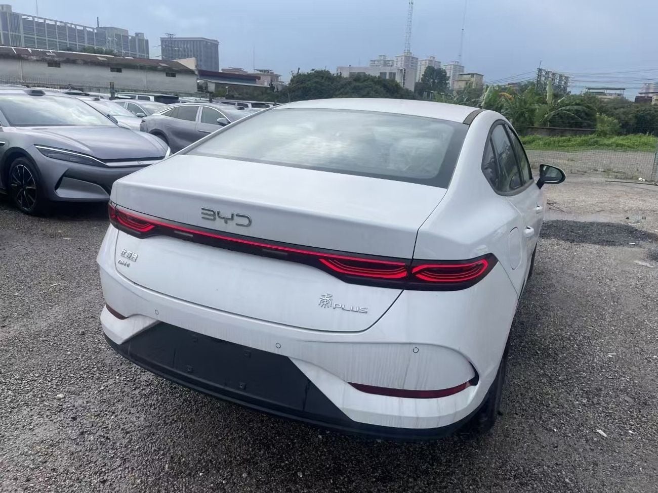 بي واي دي كين بلاس STANDARD Qin plus white-beige