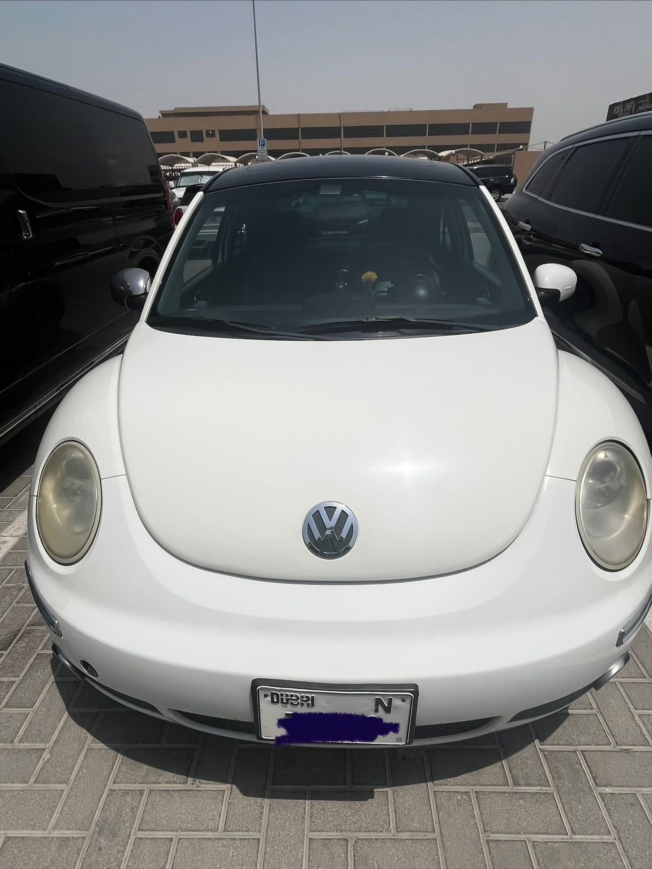 Volkswagen Beetle STANDARD