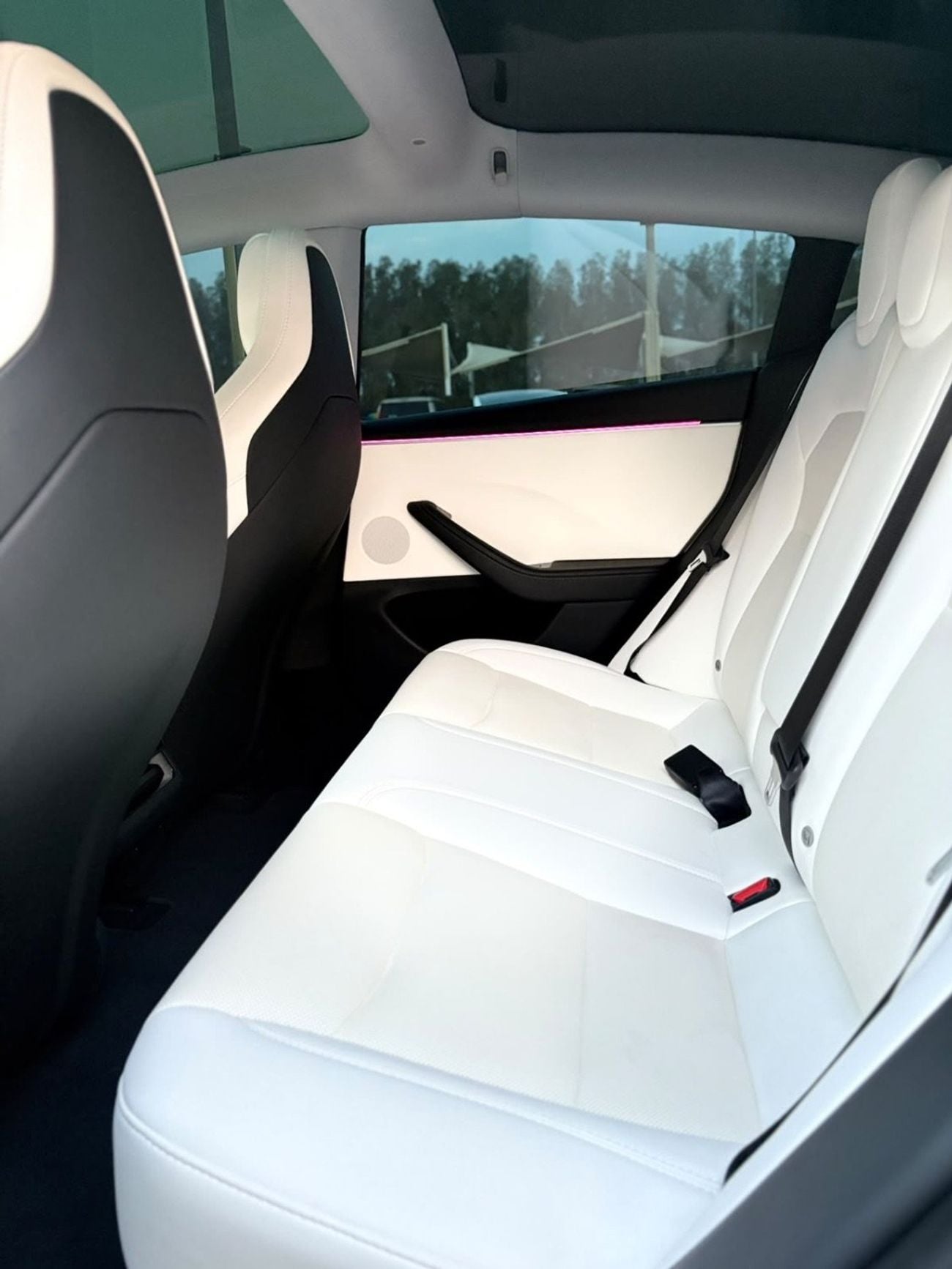 Tesla Model 3 PERFORMANCE