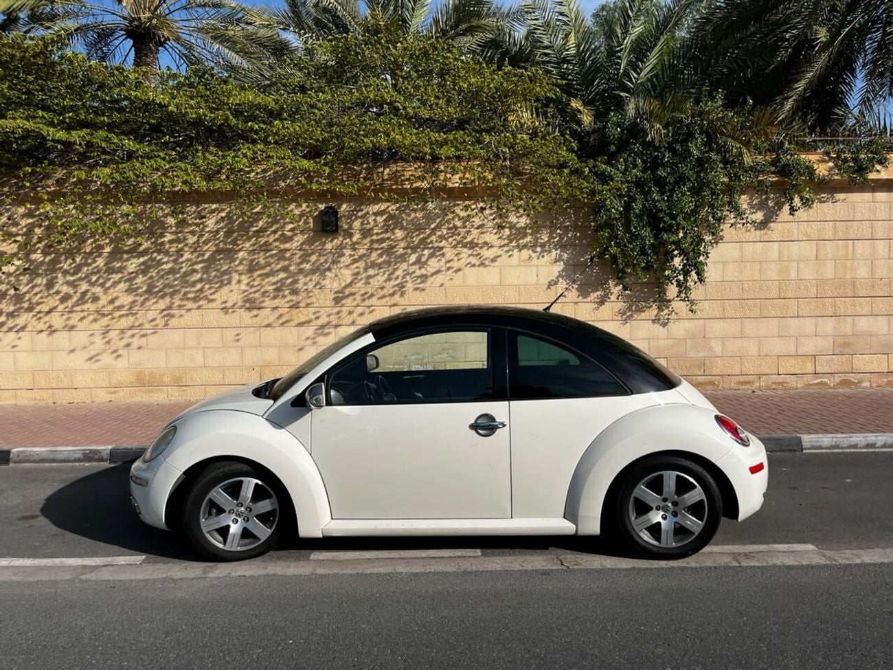 Volkswagen Beetle STANDARD