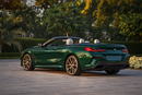 BMW M850i xDrive M850i xDrive Convertible 2 door