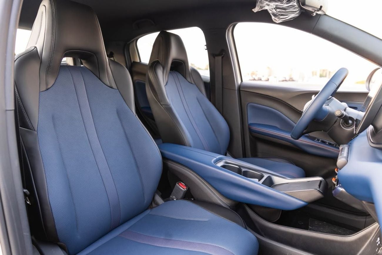 BYD Seagull STANDARD