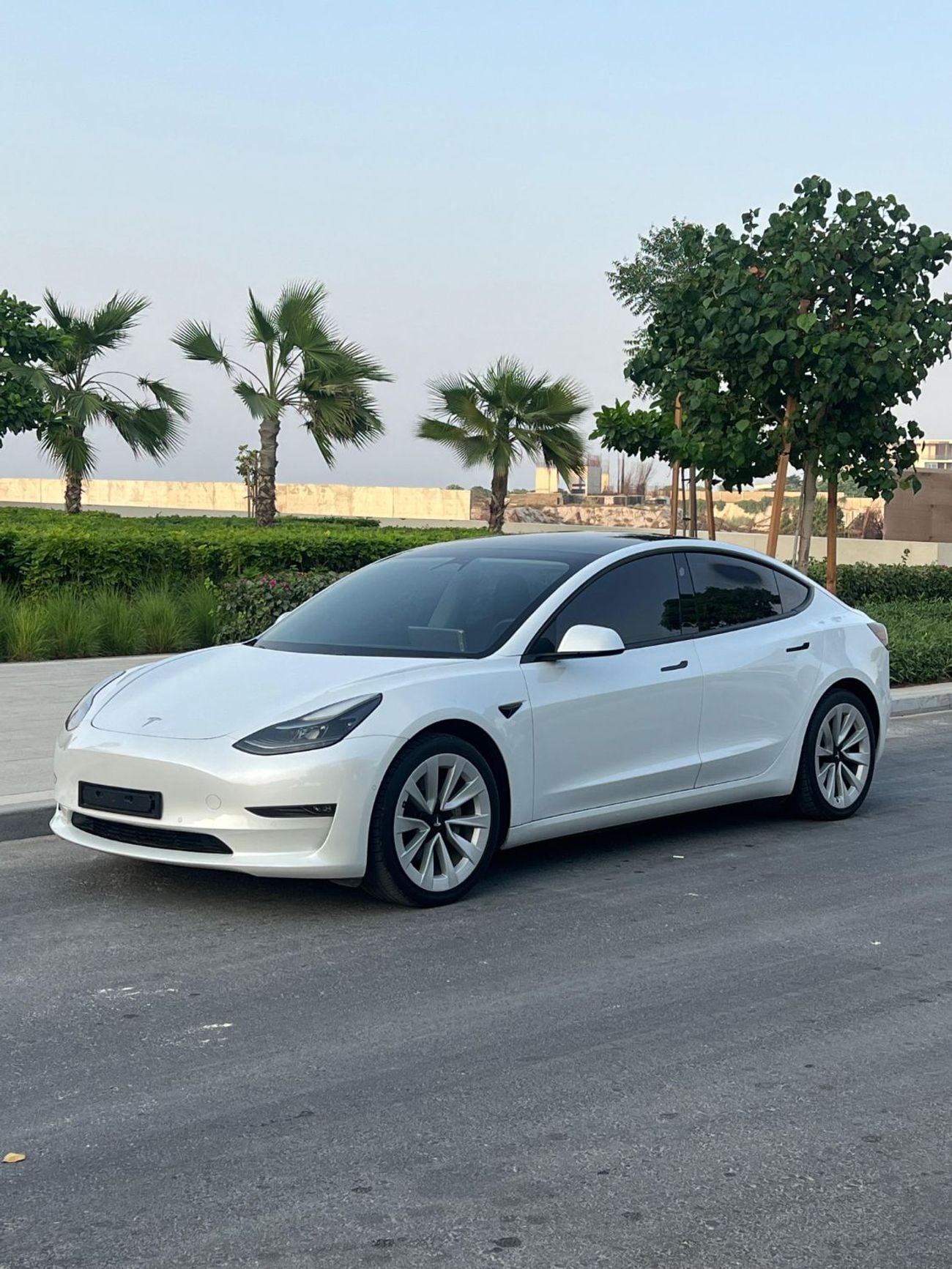 Tesla Model 3 LONG RANGE