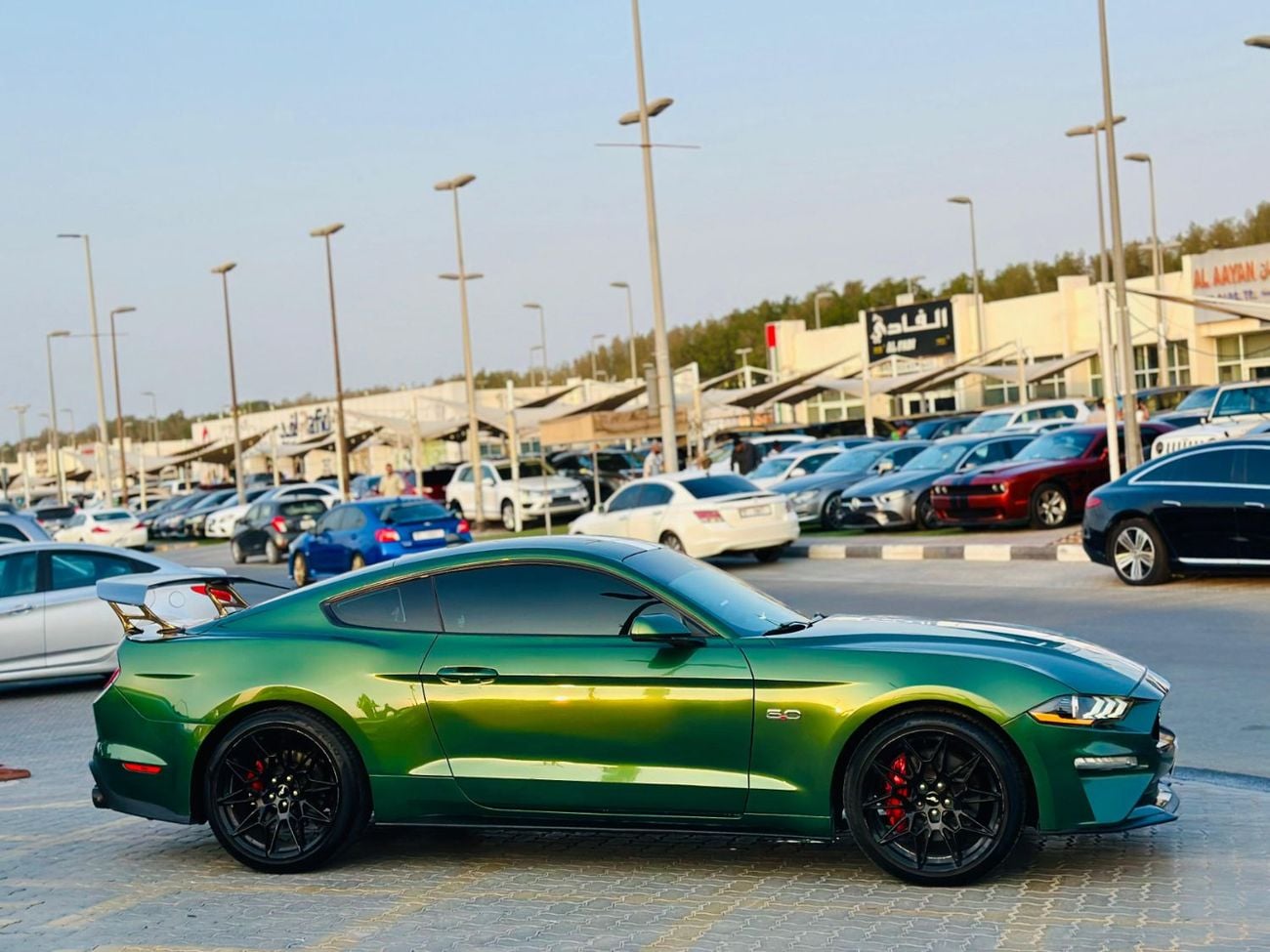 Ford Mustang GT | Monthly 1600/- | 0% DP | Blindspot | Fog Lights | # 13867