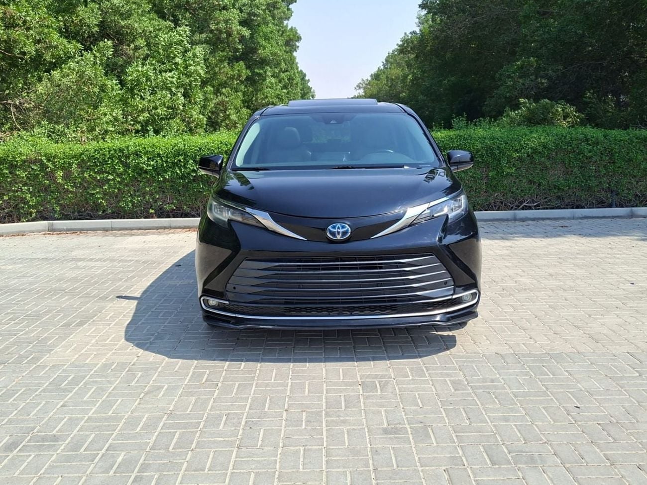 Toyota Sienna XLE