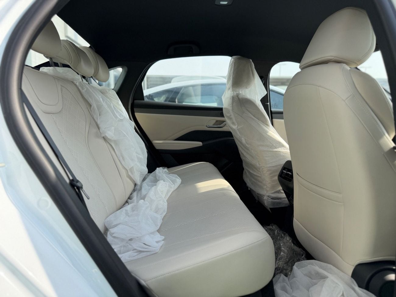 BYD QIN PLUS STANDARD DM-i 55KM LUXURY EDTION | 2025 |