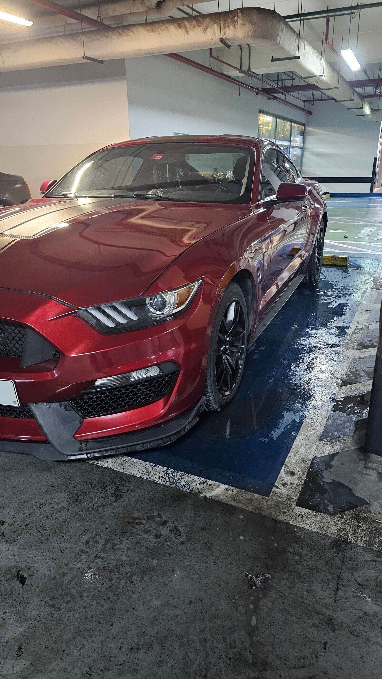 Ford Mustang STANDARD