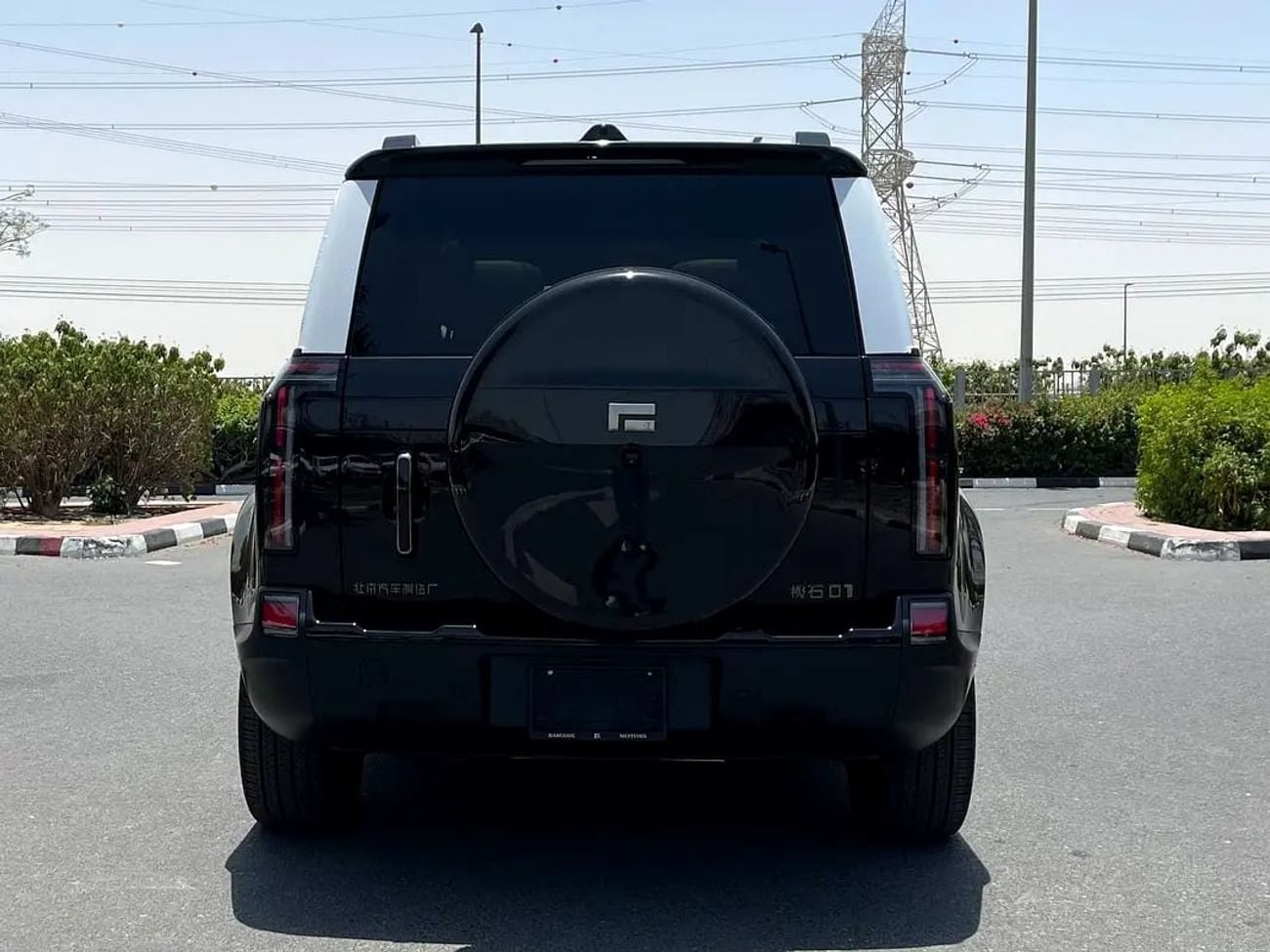 ROX 01 VIP / 6 SEATS VIP / / BIG BATTERY / WARRANTY AND CONTRACT SERVICE EVS