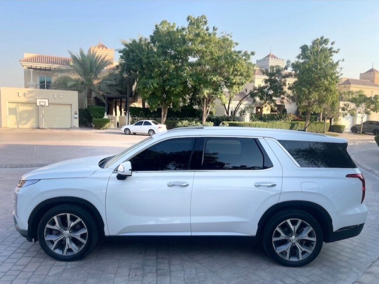 Hyundai Palisade PREMIUM NAPPA