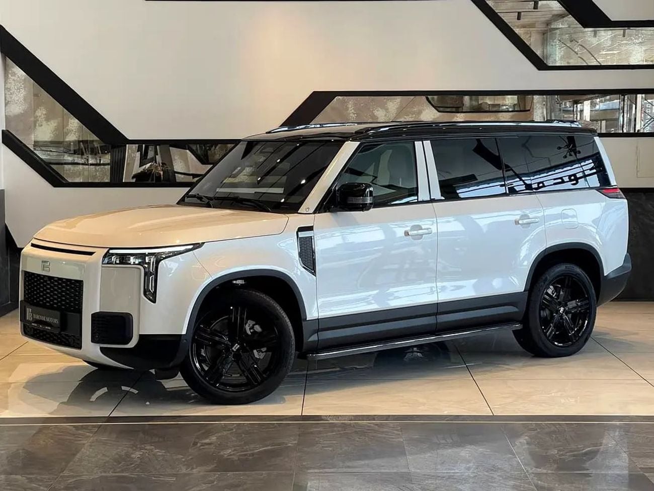 ROX 01 VIP / 6 SEATS / / KM / LONG RANGE / WARRANTY AND SERVICE CONTRACT 5 YEARS EVS