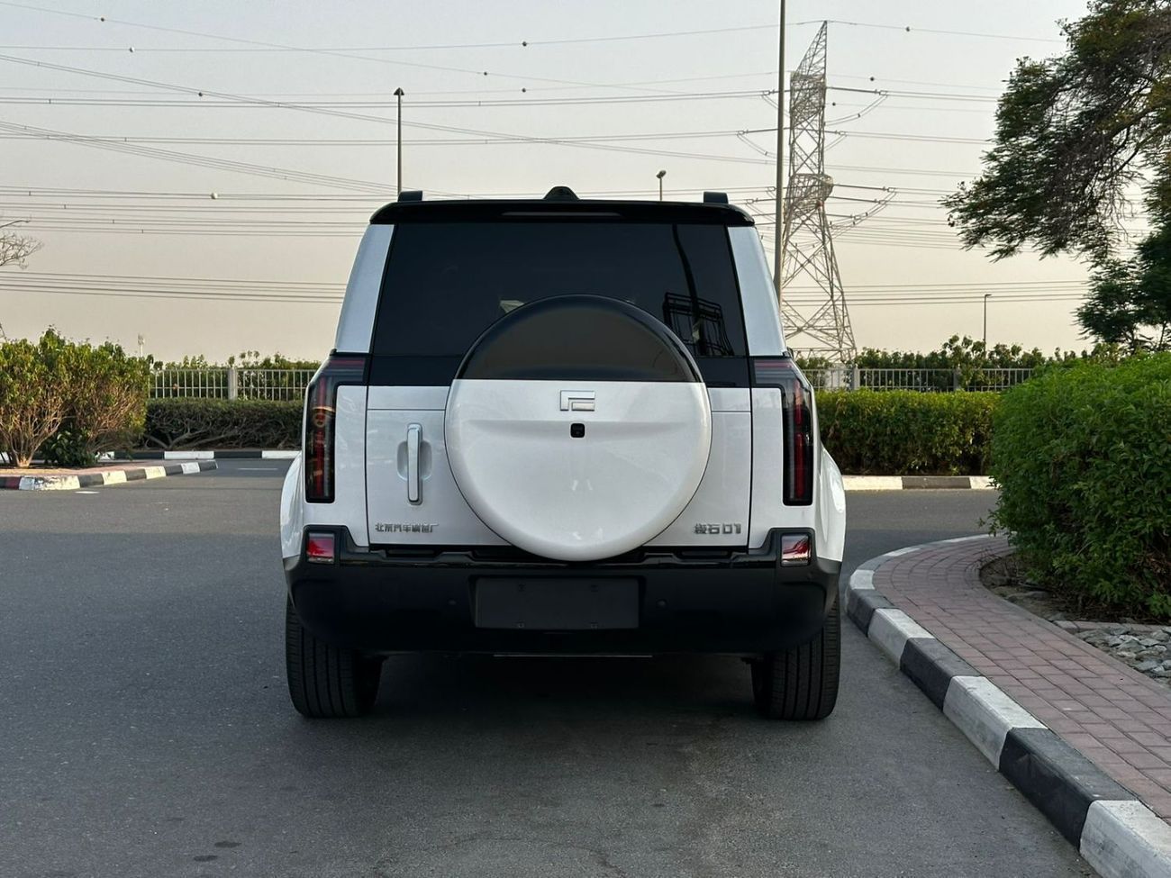 روكس 01 VIP ROX 01 7 SEATS HYBRID White/Orange | Long range 2026