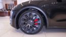 تسلا موديل Y Performance (AWD)