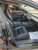 Tesla Model 3 PERFORMANCE