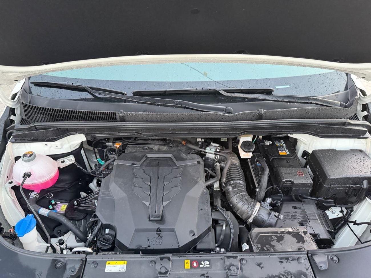 Kia Carnival EX DLX