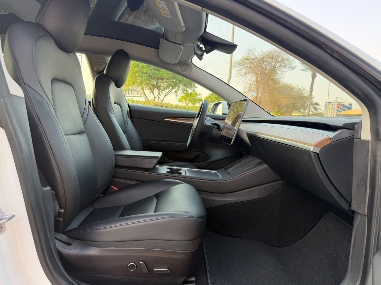 Tesla Model 3 PERFORMANCE