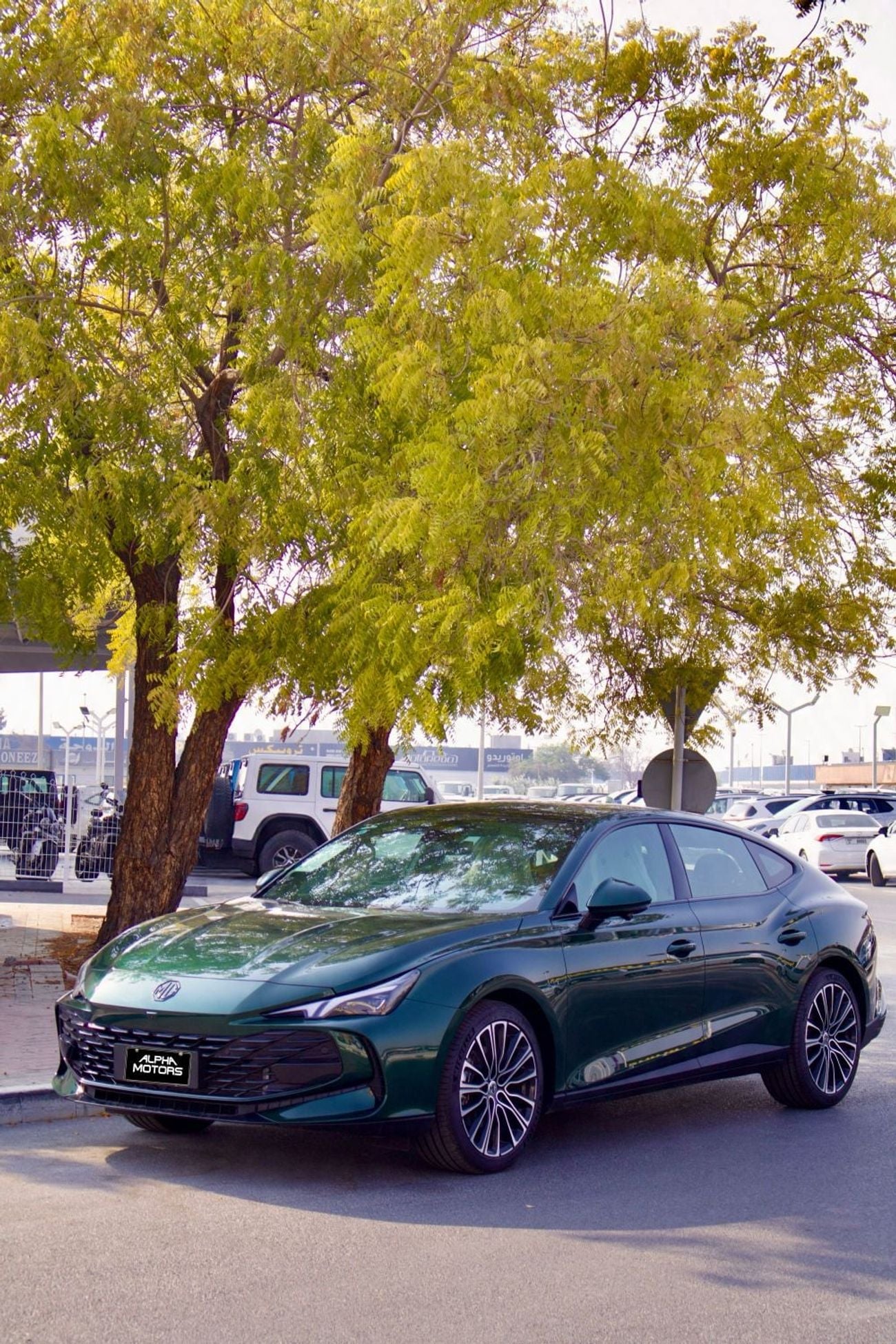 MG 7