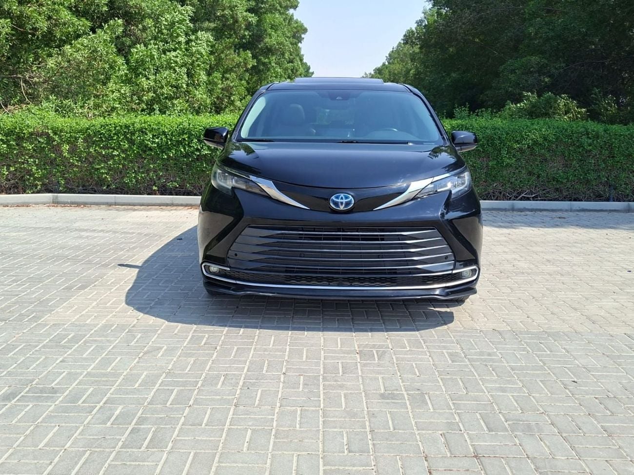 Toyota Sienna XLE