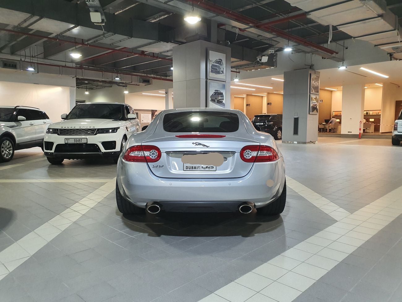 جاكوار XK ستاندارد